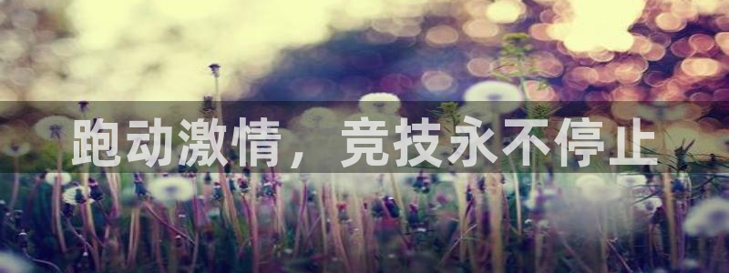 莆田悟空体育：跑动激情，竞技永不停止