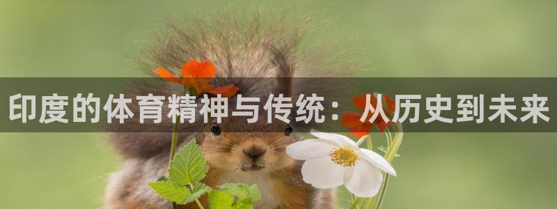 悟空体育官网入口：印度的体育精神与传统：从历史到未来