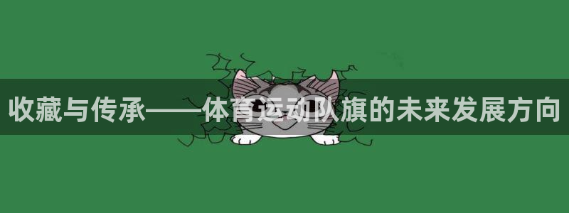 悟空体育莆田鞋：收藏与传承——体育运动队旗的未来发展方向