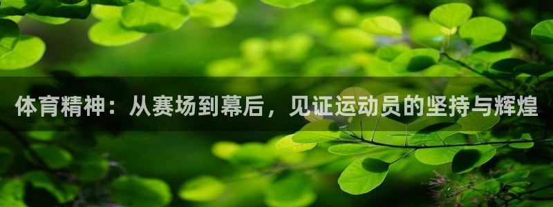悟空体育app官网入口：体育精神：从赛场到幕后，见证运动员的坚持与辉煌