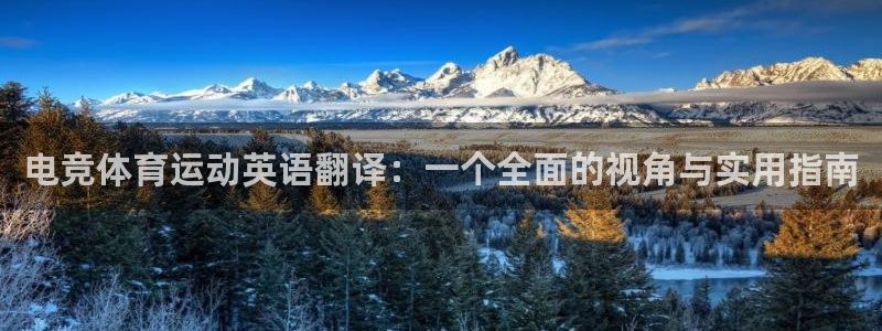 悟空体育平台：电竞体育运动英语翻译：一个全面的视角与实用指南