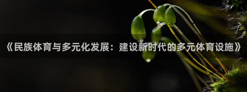 上海悟空体育：《民族体育与多元化发展：建设新时代的多元体育设施》
